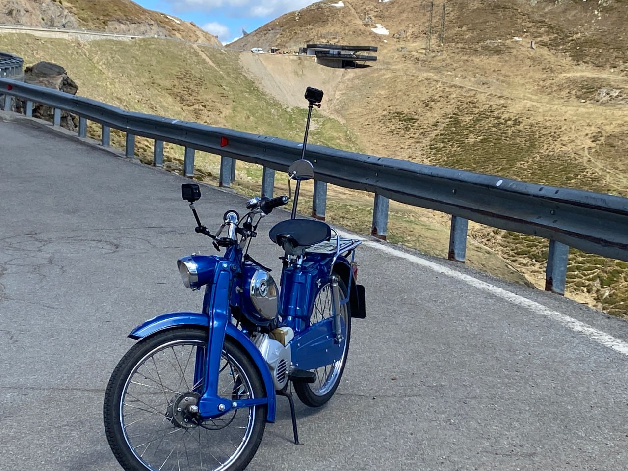 Bergi allein auf der Passhöhe Jaufenpass